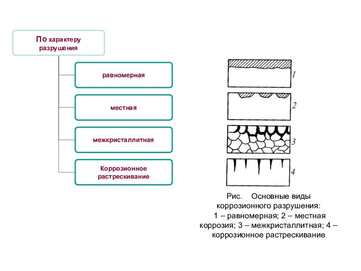 Рис. Основные виды коррозионного разрушения: 1 – равномерная; 2 – местная