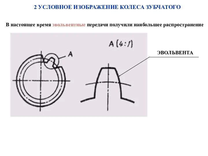 В настоящее время эвольвентные передачи получили наибольшее распространение 2 УСЛОВНОЕ ИЗОБРАЖЕНИЕ КОЛЕСА ЗУБЧАТОГО
