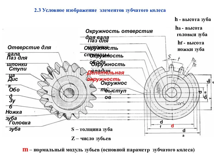 2.3 Условное изображение элементов зубчатого колеса Отверстие для вала Окружность отверстия