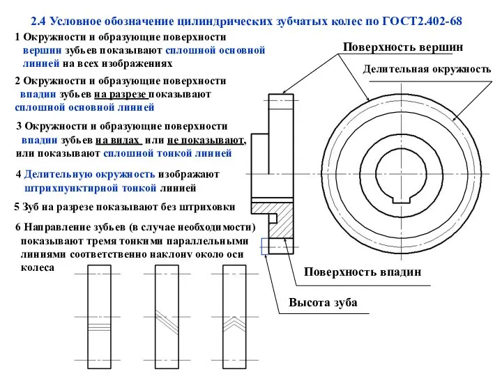 2.4 Условное обозначение цилиндрических зубчатых колес по ГОСТ2.402-68 1 Окружности и