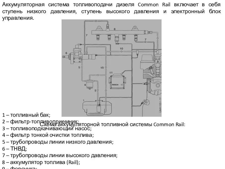 Аккумуляторная система топливоподачи дизеля Common Rail включает в себя ступень низкого