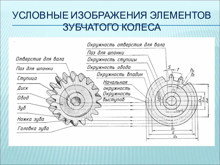 УСЛОВНЫЕ ИЗОБРАЖЕНИЯ ЭЛЕМЕНТОВ ЗУБЧАТОГО КОЛЕСА