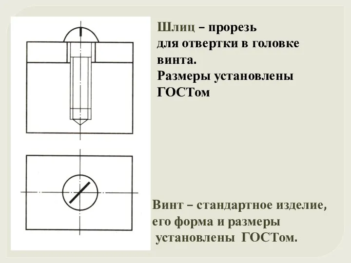 Шлиц – прорезь для отвертки в головке винта. Размеры установлены ГОСТом