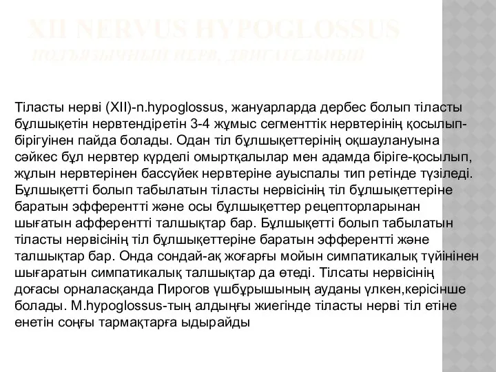 XII NERVUS HYPOGLOSSUS ПОДЪЯЗЫЧНЫЙ НЕРВ, ДВИГАТЕЛЬНЫЙ Тіласты нерві (XII)-n.hypoglossus, жануарларда дербес