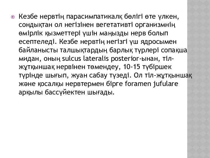 Кезбе нервтің парасимпатикалқ бөлігі өте үлкен, сондықтан ол негізінен вегетативті организмнің