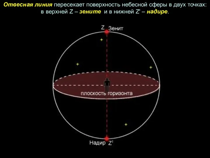 Отвесная линия пересекает поверхность небесной сферы в двух точках: в верхней