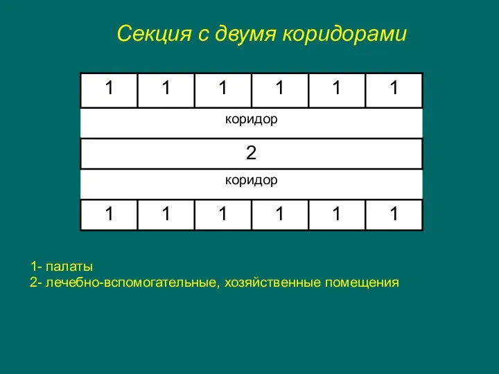 Секция с двумя коридорами 1- палаты 2- лечебно-вспомогательные, хозяйственные помещения