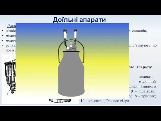 Доїльні апарати Доїльний апарат як виконавчий механізм доїльної машини має: підвісну