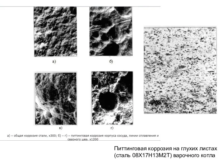 Питтинговая коррозия на глухих листах (сталь 08Х17Н13М2Т) варочного котла