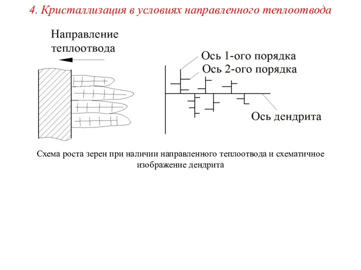 4. Кристаллизация в условиях направленного теплоотвода Схема роста зерен при наличии