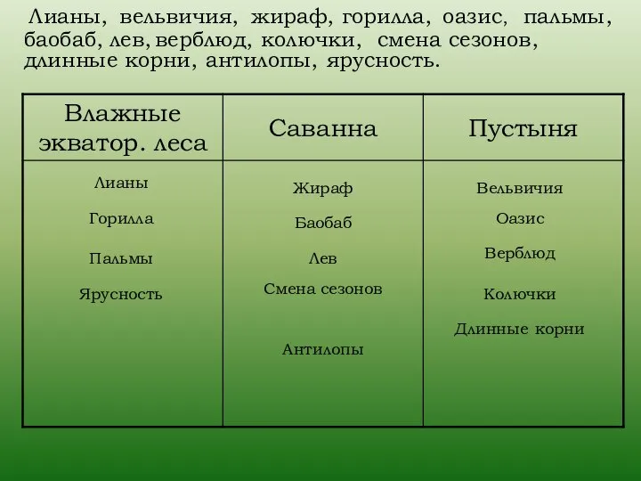 Лианы, вельвичия, жираф, горилла, оазис, Лианы пальмы, баобаб, лев, верблюд, колючки,