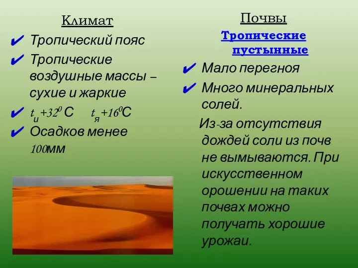 Климат Тропический пояс Тропические воздушные массы – сухие и жаркие tи+320