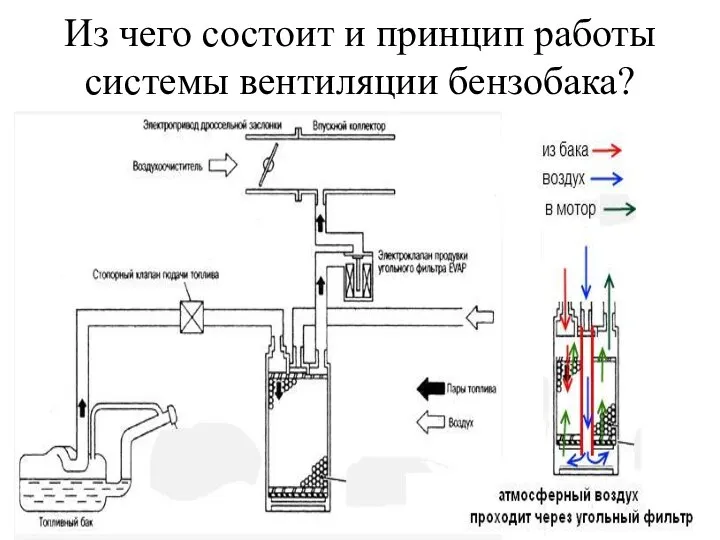 Из чего состоит и принцип работы системы вентиляции бензобака?