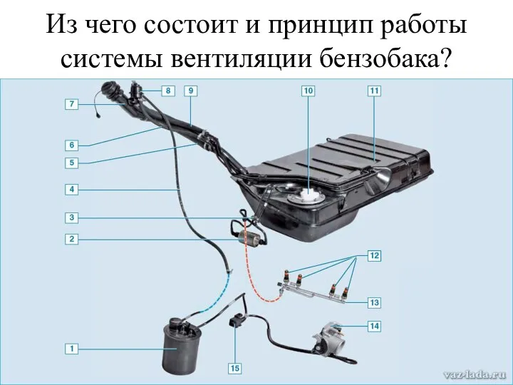 Из чего состоит и принцип работы системы вентиляции бензобака?