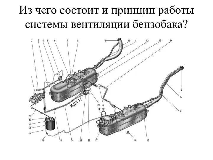 Из чего состоит и принцип работы системы вентиляции бензобака?