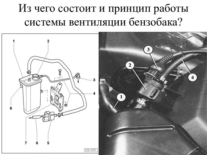 Из чего состоит и принцип работы системы вентиляции бензобака?