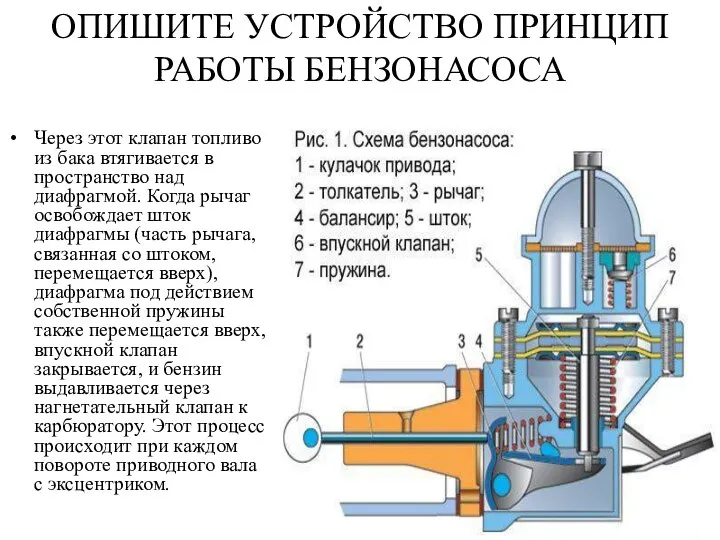 ОПИШИТЕ УСТРОЙСТВО ПРИНЦИП РАБОТЫ БЕНЗОНАСОСА Через этот клапан топливо из бака