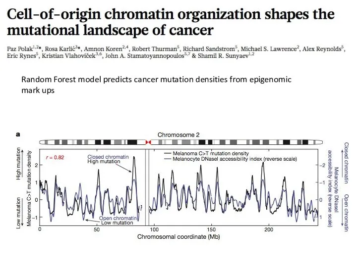 Random Forest model predicts cancer mutation densities from epigenomic mark ups