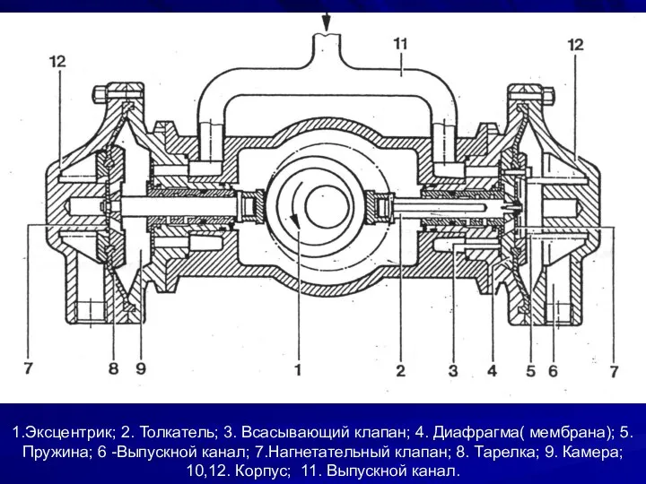 1.Эксцентрик; 2. Толкатель; 3. Всасывающий клапан; 4. Диафрагма( мембрана); 5. Пружина;