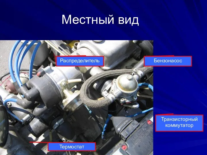 Термостат Транзисторный коммутатор Бензонасос Распределитель Местный вид