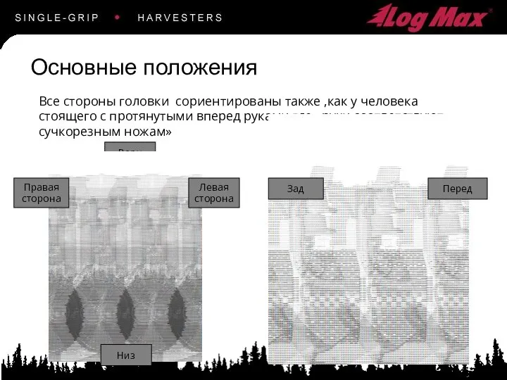 Основные положения Все стороны головки сориентированы также ,как у человека стоящего