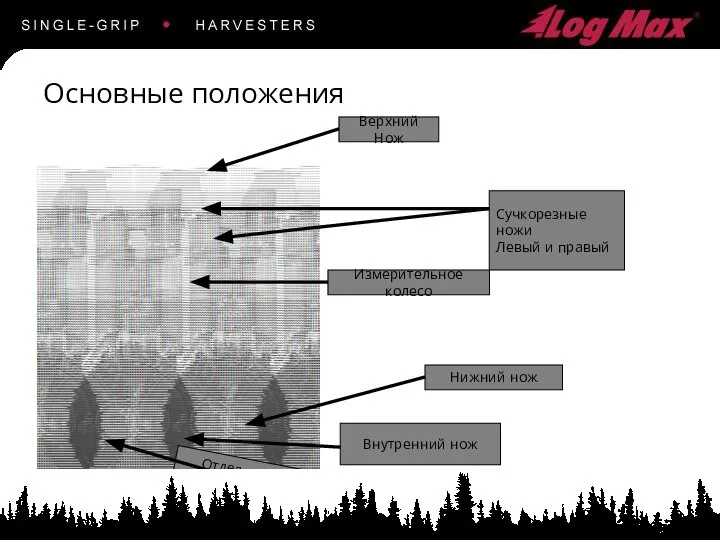 Основные положения