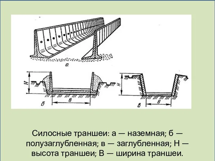 Силосные траншеи: а — наземная; б — полузаглубленная; в — заглубленная;