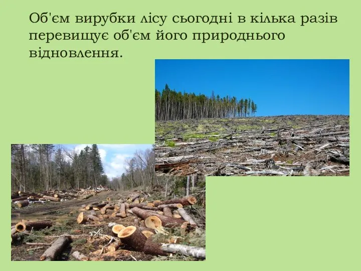 Об'єм вирубки лісу сьогодні в кілька разів перевищує об'єм його природнього відновлення.