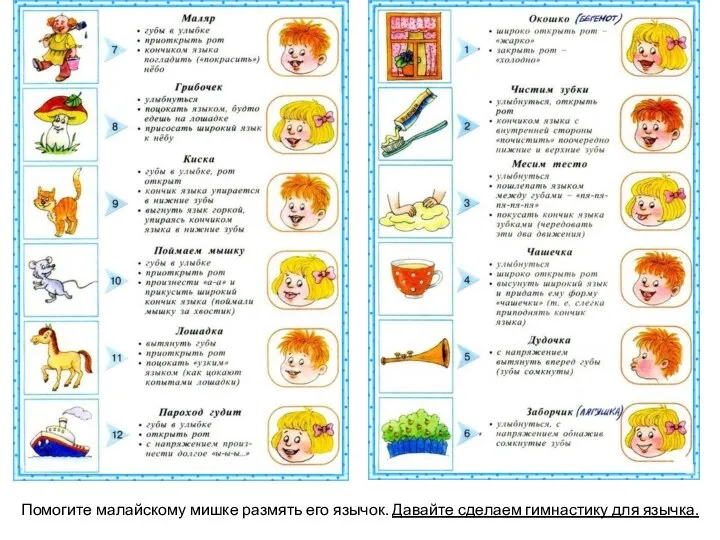 Помогите малайскому мишке размять его язычок. Давайте сделаем гимнастику для язычка.