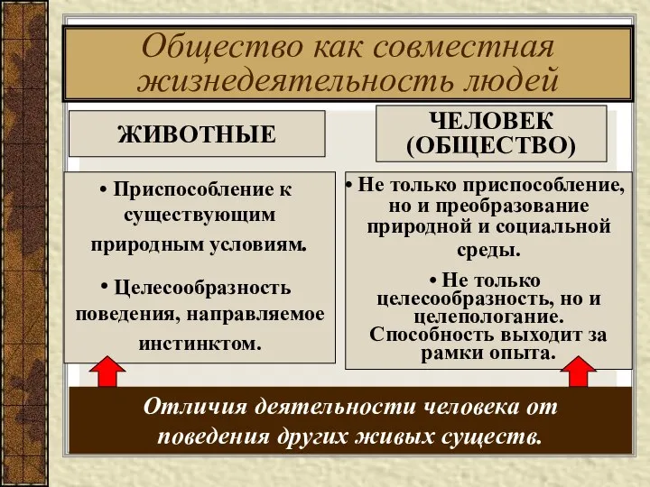 Общество как совместная жизнедеятельность людей ЧЕЛОВЕК (ОБЩЕСТВО) Не только приспособление, но