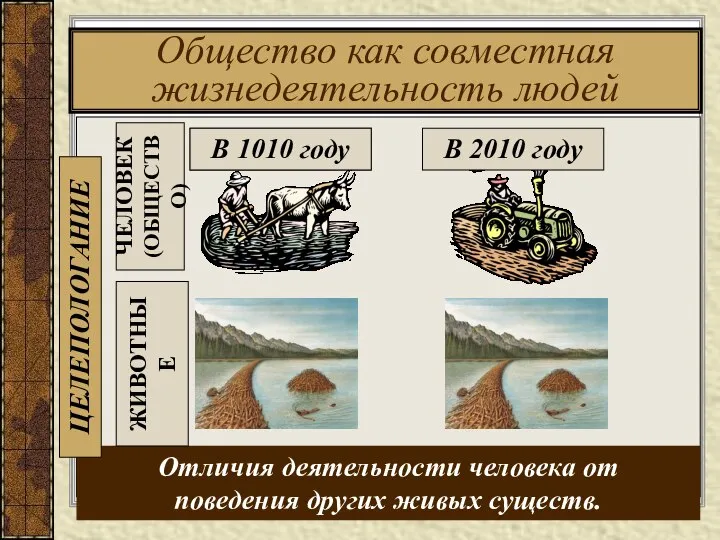 Общество как совместная жизнедеятельность людей ЧЕЛОВЕК (ОБЩЕСТВО) Отличия деятельности человека от