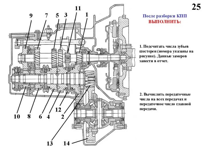 25 После разборки КПП ВЫПОЛНИТЬ: 1. Подсчитать числа зубьев шестерен (номера