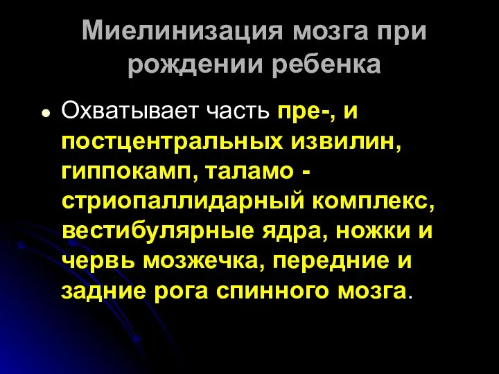 Миелинизация мозга при рождении ребенка Охватывает часть пре-, и постцентральных извилин,