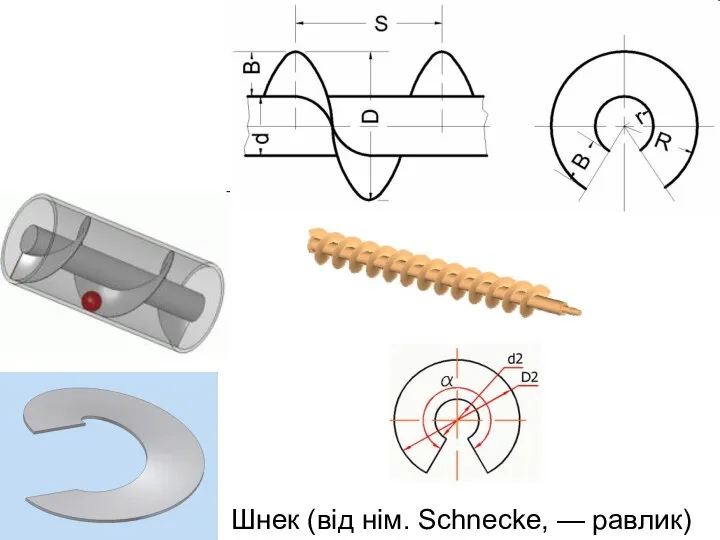 Шнек (від нім. Schnecke, — равлик)