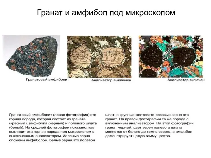 Гранат и амфибол под микроскопом