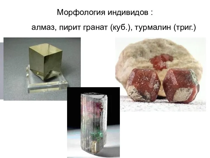 Морфология индивидов : алмаз, пирит гранат (куб.), турмалин (триг.)