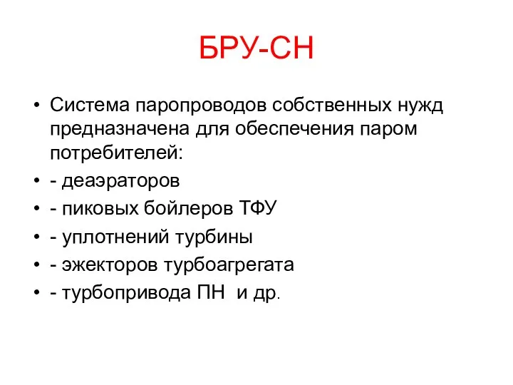 БРУ-СН Система паропроводов собственных нужд предназначена для обеспечения паром потребителей: -