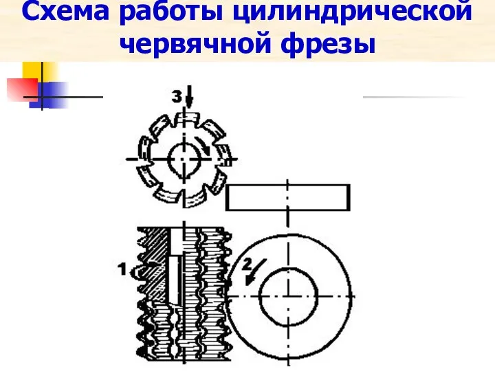 Схема работы цилиндрической червячной фрезы