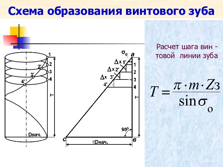 Схема образования винтового зуба Расчет шага вин -товой линии зуба