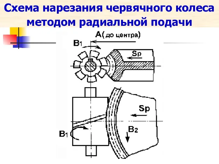 Схема нарезания червячного колеса методом радиальной подачи