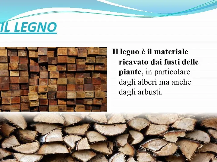 IL LEGNO Il legno è il materiale ricavato dai fusti delle