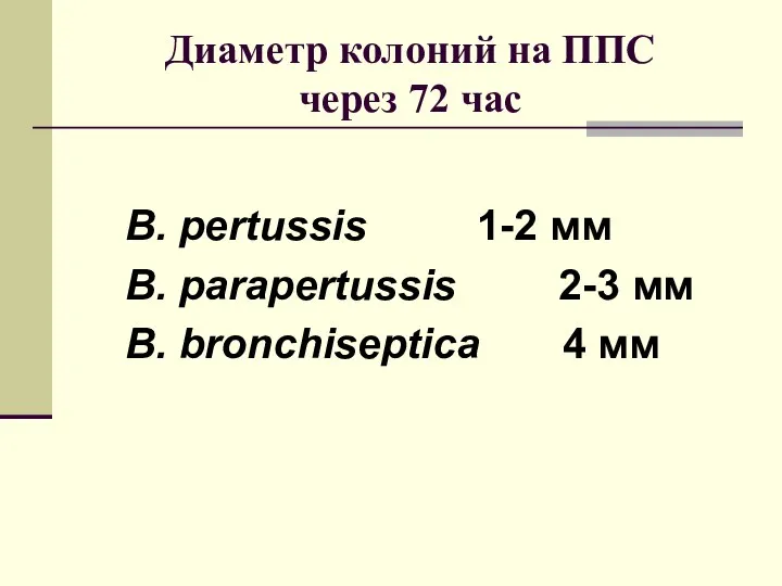 Диаметр колоний на ППС через 72 час B. pertussis 1-2 мм