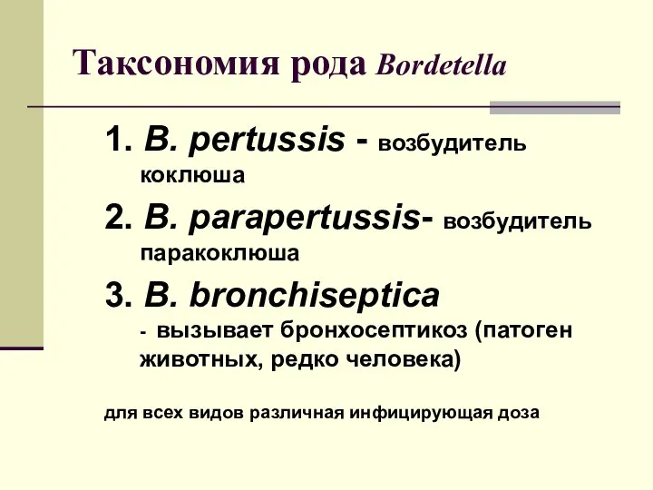 Таксономия рода Bordetella 1. B. pertussis - возбудитель коклюша 2. B.