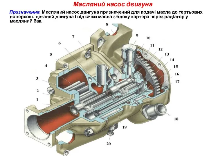 Масляний насос двигуна Призначення. Масляний насос двигуна призначений для подачі масла