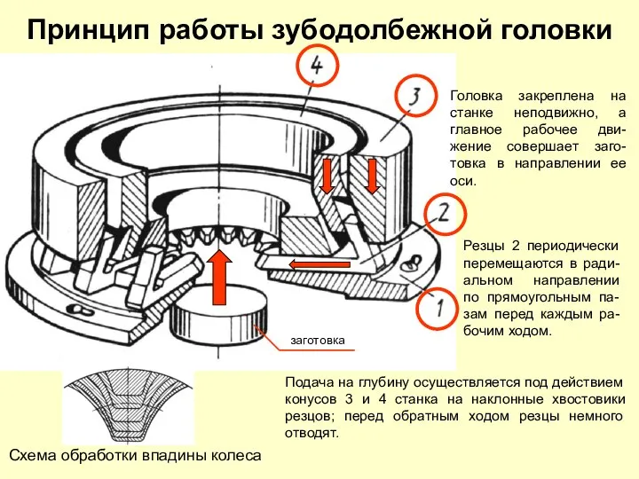 заготовка Принцип работы зубодолбежной головки Головка закреплена на станке неподвижно, а