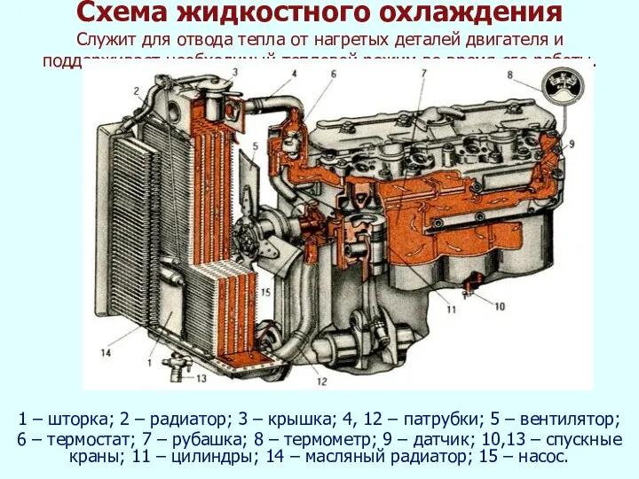 Схема жидкостного охлаждения Служит для отвода тепла от нагретых деталей двигателя