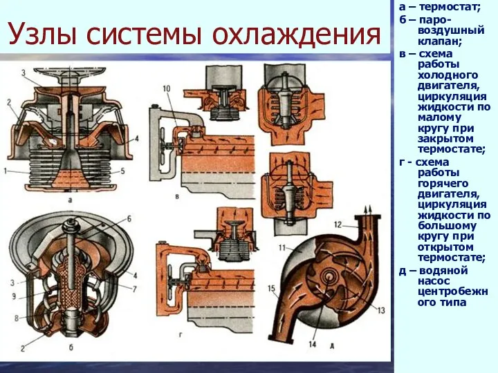 Узлы системы охлаждения а – термостат; б – паро-воздушный клапан; в