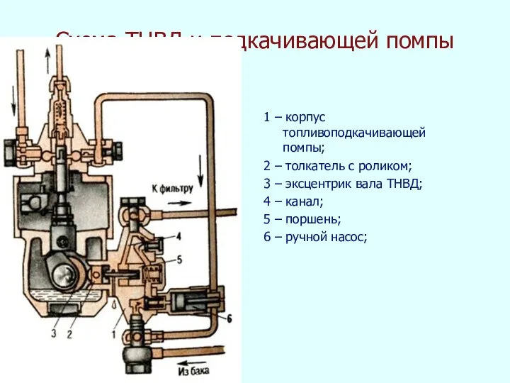 Схема ТНВД и подкачивающей помпы 1 – корпус топливоподкачивающей помпы; 2