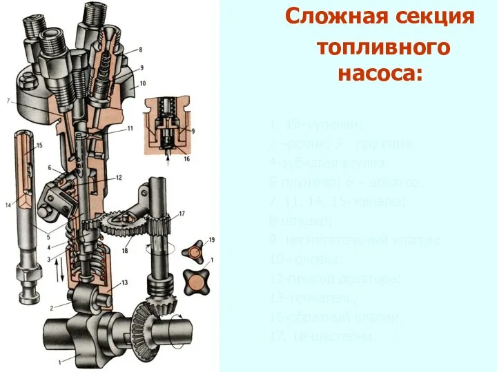 Сложная секция топливного насоса: 1, 19–кулачки; 2 –ролик; 3 - пружина;