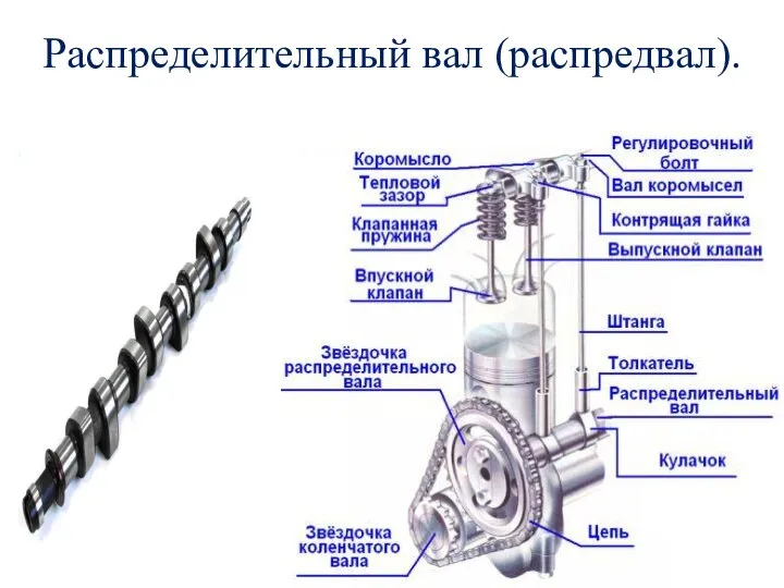 Распределительный вал (распредвал).